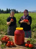 Domates Salçası 5 kg